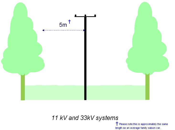 Tree Cutting Clearance - 11 kV and 33 kV systems
